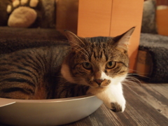 じー