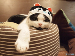 まったり