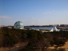 眺
