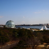 眺