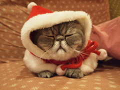 もうすぐクリスマス