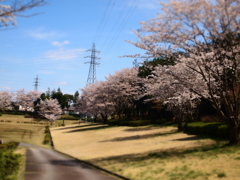 眺