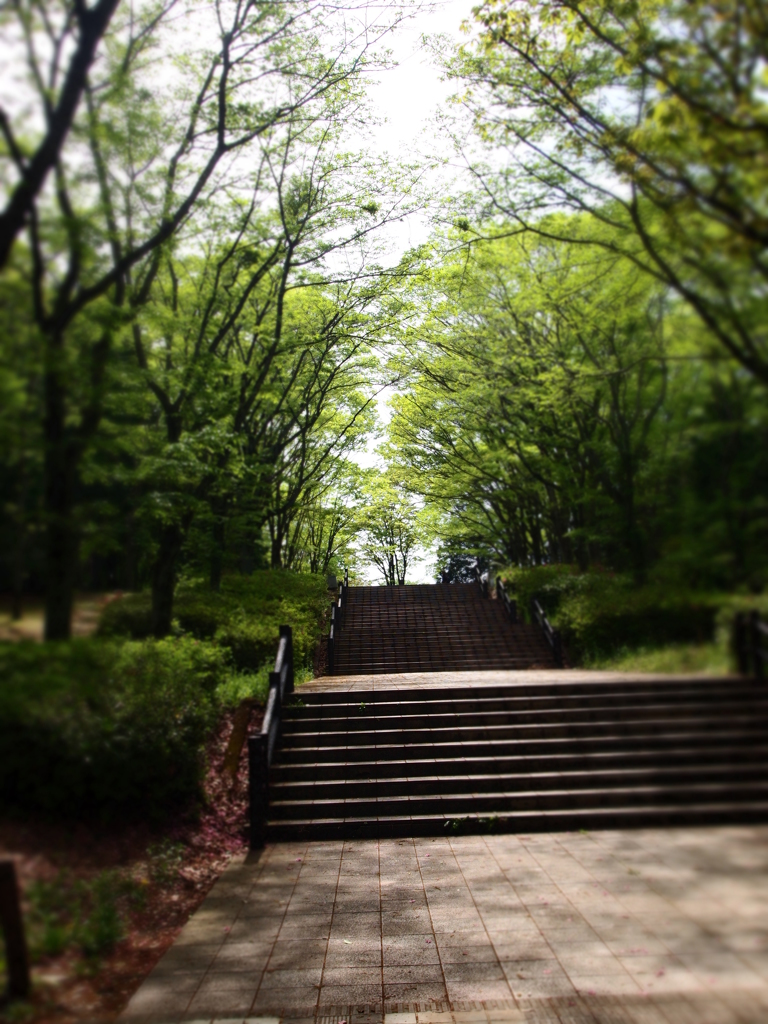 登