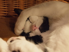 隠す