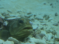 何だ何だ？