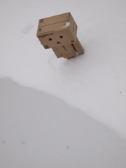 雪とダンボー　-5-