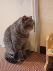 平