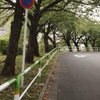 赤羽散歩⑥