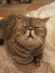 うんうん