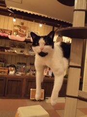ぶらーん