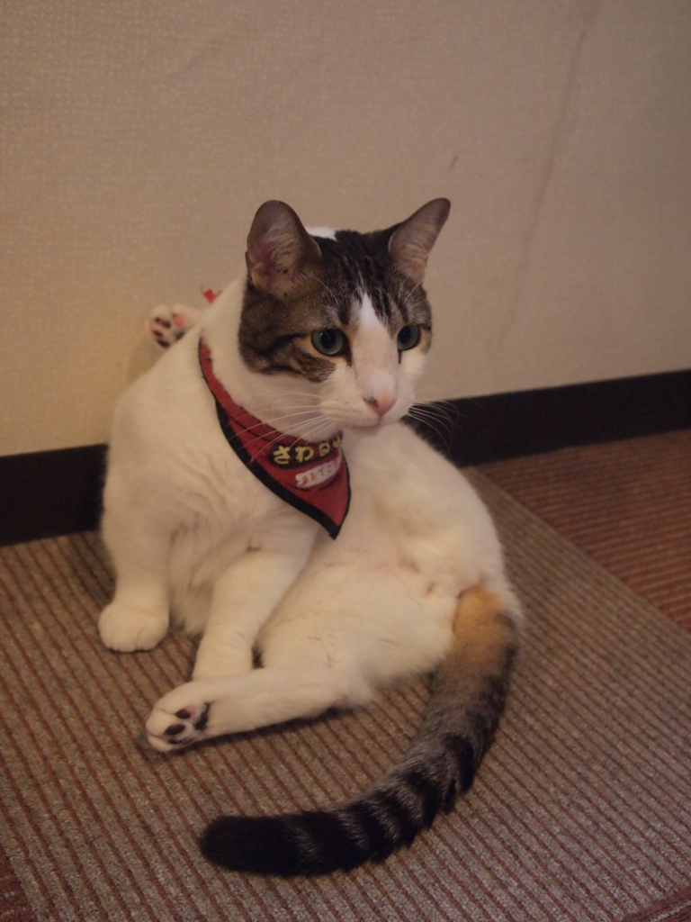 取り込み中