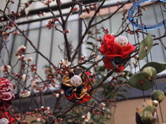 雛祭り-1-
