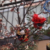 雛祭り-1-