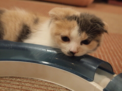 ふぅ