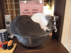 閉店