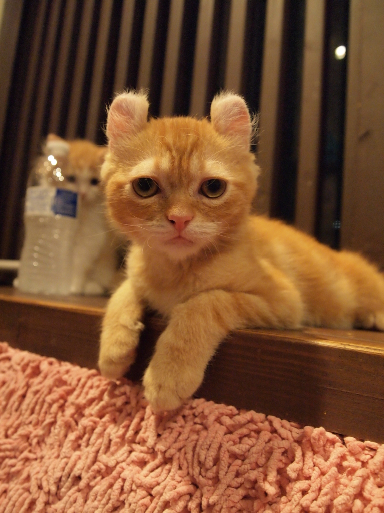 じとー