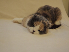 眠る栗ちゃん　-2-
