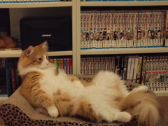 ふい～どっこいしょ