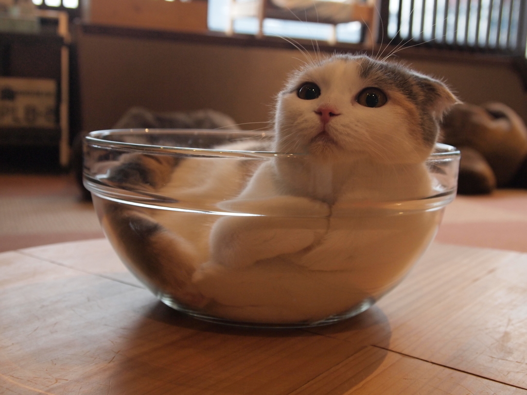 うーん？