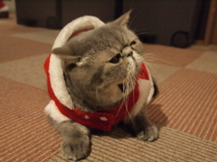 くあ～