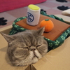 冬はやっぱり・・・