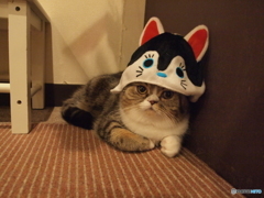 オーバーサイズ