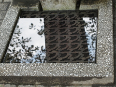 かくれんぼ