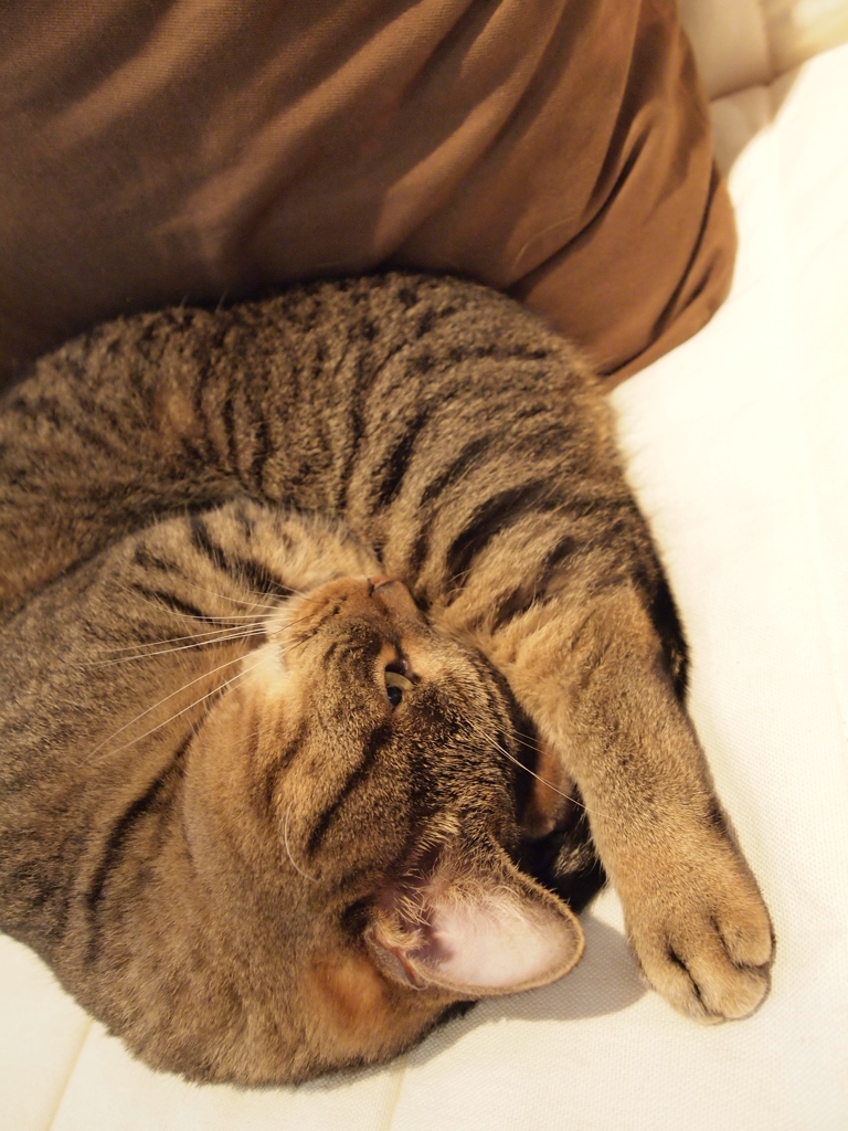 チラ見
