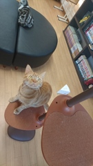 じー