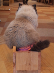 はみ出し