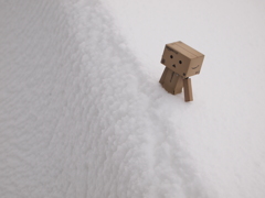 雪とダンボー　-4-