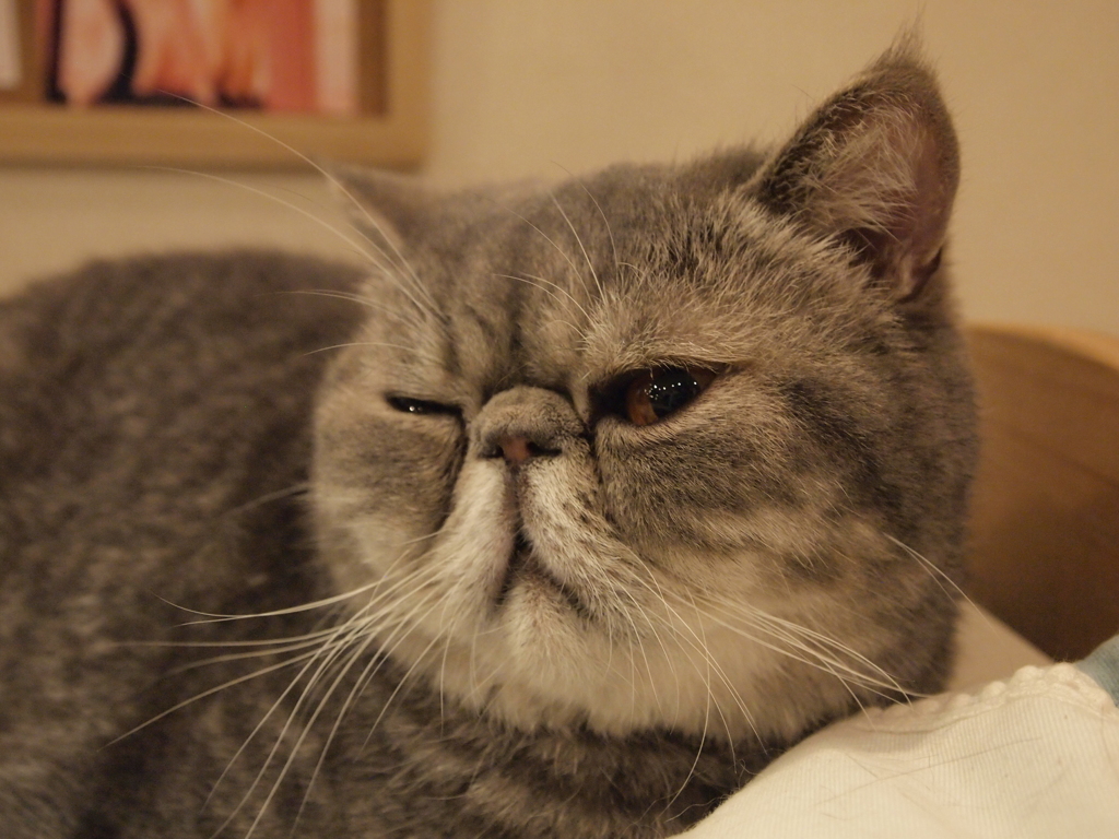 眠い・・・