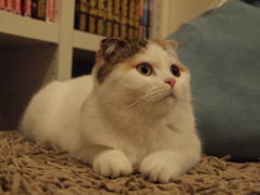 うーん？