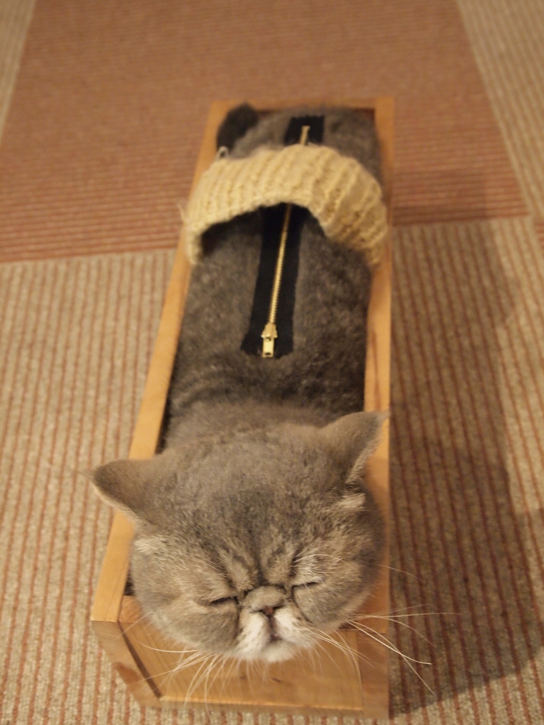 実は・・・