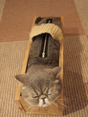 実は・・・