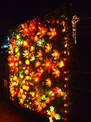 光の花