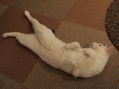 のびー