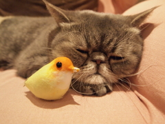 ねぇねぇ