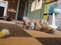 あつーい