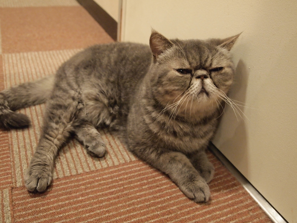 うーん…