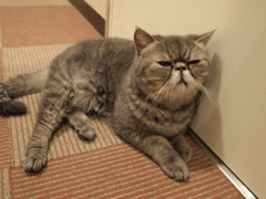 うーん…