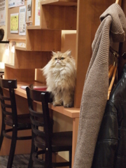 上
