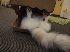 逆さ