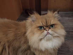 じ・・・