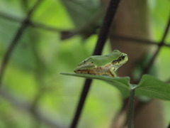 じっと