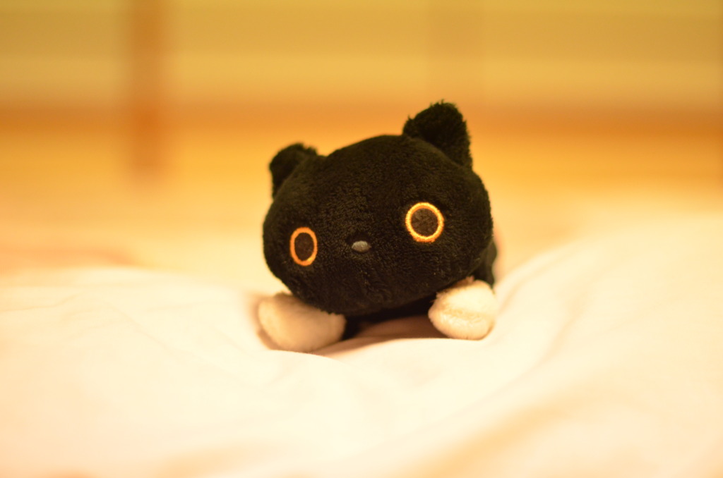 靴下にゃんこ