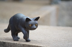 ねこ
