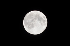 moonlight
