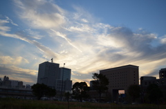 日没