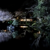 夜桜庭園